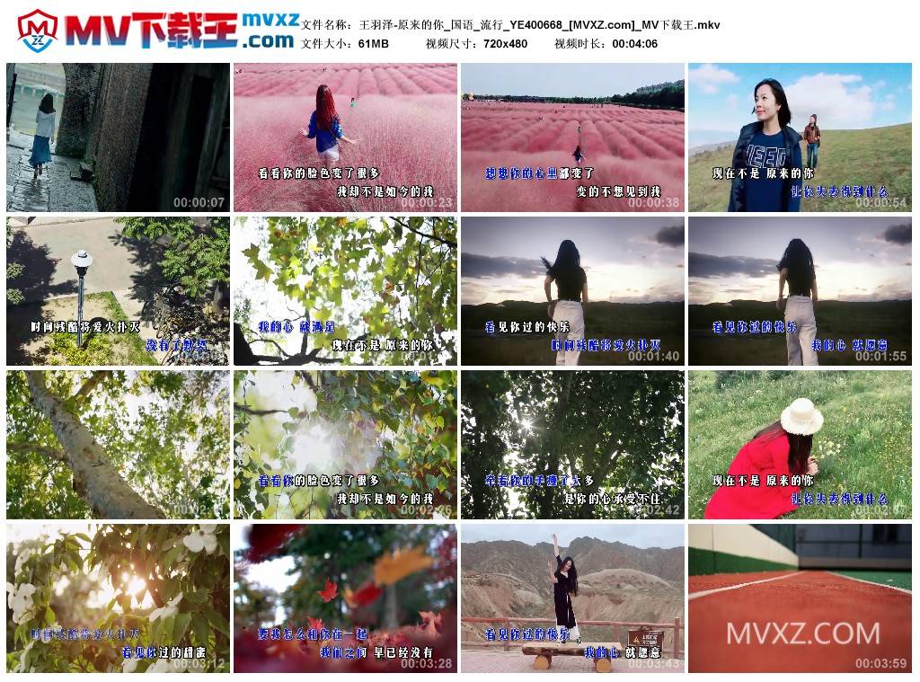 王羽泽-原来的你_国语_流行_YE400668